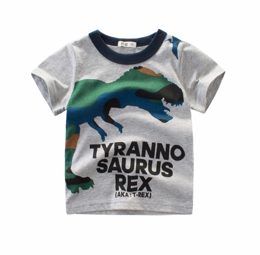 Boy's Short Sleeve Dinosaur Expert T-Shirt