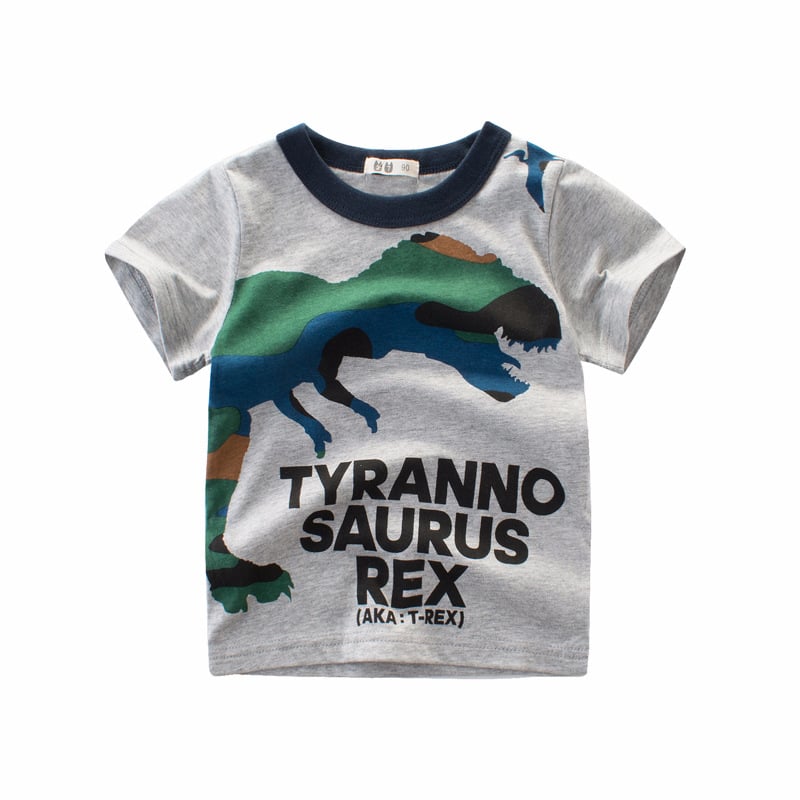 Boy's Summer Short Sleeved T-Shirt